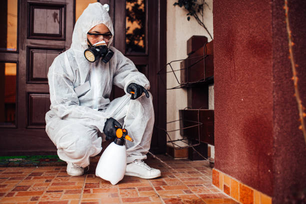 Reliable Ant Control contractor in Laflin, PA by Show Me Pest Control